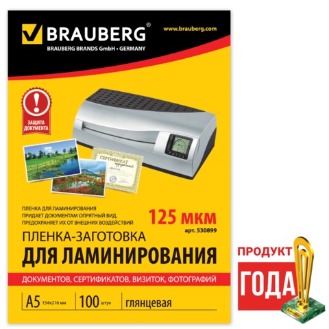    5 125  BRAUBERG,  100,   530899