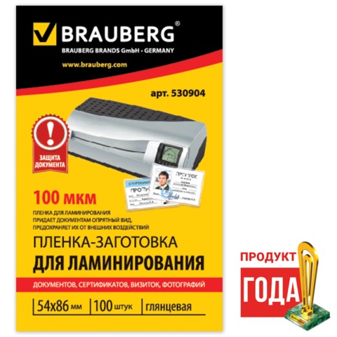    100  BRAUBERG,  100, 54*86, 530904