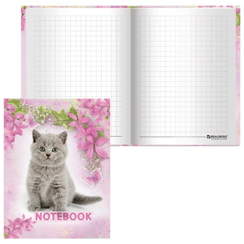  Notebook STAFF, 6, 110*147, . , 