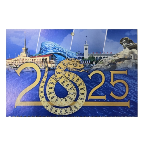   2025   